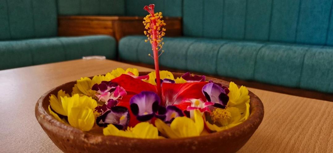 Blue Cove Villa Varkala Exteriér fotografie